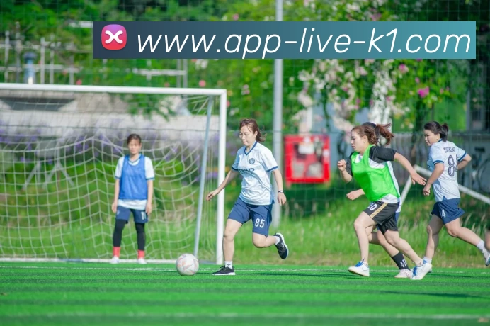 多媒体互动体验